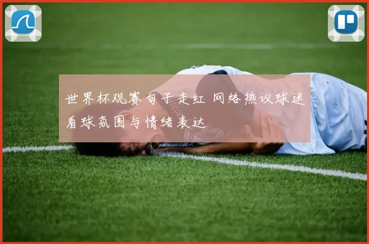 世界杯观赛句子走红 网络热议球迷看球氛围与情绪表达